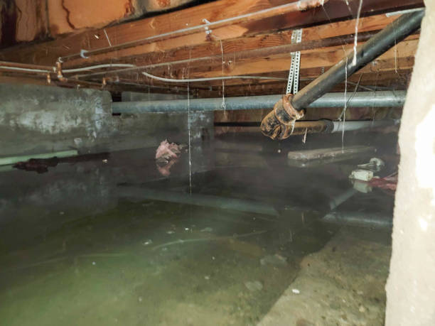 Best Professional water damage repair  in Helper, UT