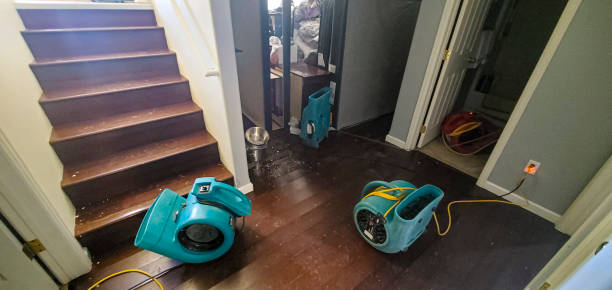 Best Water damage restoration near me  in Helper, UT