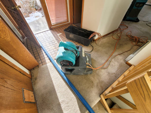 Helper, UT Water damage restoration Pros