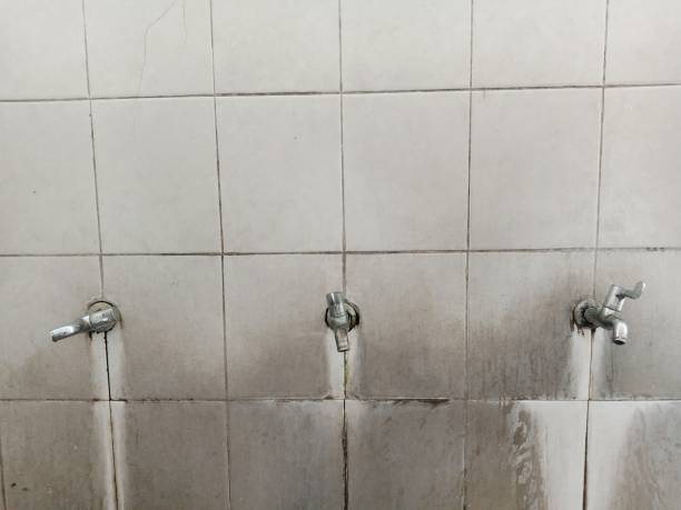 Best Water damage mitigation services  in Helper, UT