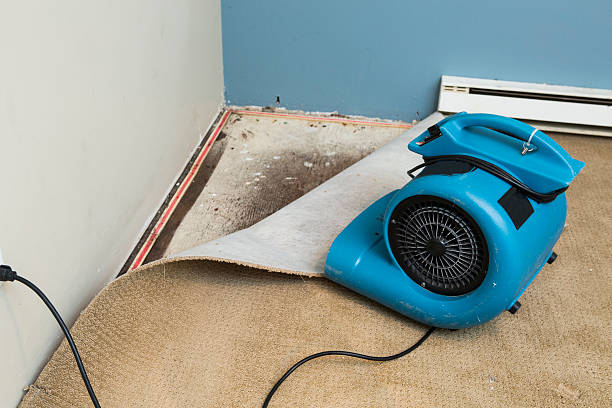 Best 24/7 water damage repair  in Helper, UT